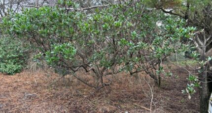 Array Terrain à bâtir - 2351528-11276annonce120251127kSrWL.jpeg Maisons France Confort