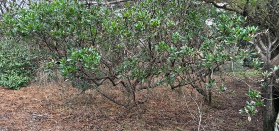 Terrain à bâtir à Array, Array