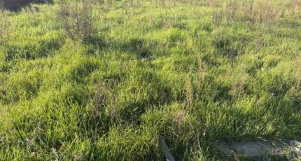 Bessières Maison neuve - 2348831-11356annonce220251125srdyf.jpeg Maisons France Confort