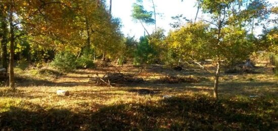 Terrain à bâtir à Audenge, Nouvelle-Aquitaine