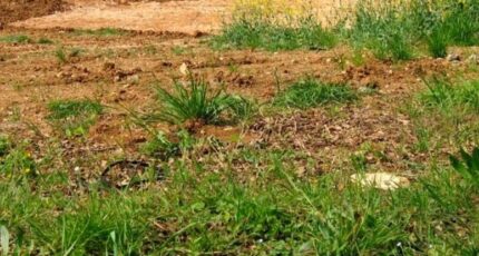 Neuve-Chapelle Maison neuve - 2287007-10617annonce220250929dQkIh.jpeg Maisons France Confort