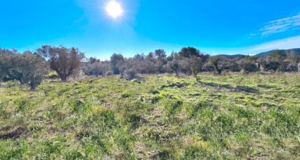 Fréjus Terrain à bâtir - 2288676-3701annonce120250930eZQX0.jpeg Maisons France Confort