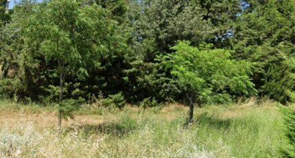 La Bastide-des-Jourdans Terrain à bâtir - 2229766-9917annonce420250721u1G5T.jpeg Maisons France Confort