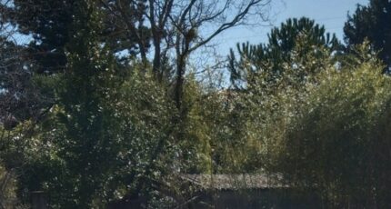 Volx Terrain à bâtir - 2247324-9917annonce120250820td0fy.jpeg Maisons France Confort