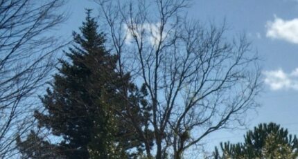 Volx Terrain à bâtir - 2247338-9917annonce220250820Efbe9.jpeg Maisons France Confort