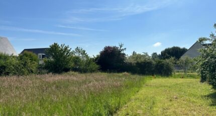 Larçay Terrain à bâtir - 2246816-10341annonce120250819PKR6k.jpeg Maisons France Confort