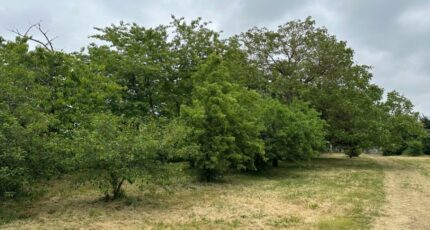 Sorigny Terrain à bâtir - 2271279-10341annonce120250915Ivt7K.jpeg Maisons France Confort