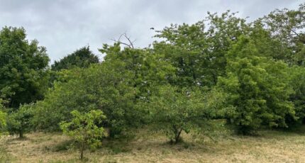 Sorigny Maison neuve - 2271284-10341annonce220250915o8LfI.jpeg Maisons France Confort