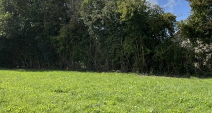 Le Chevain Maison neuve - 2309253-3704annonce120251017VLQsI.jpeg Maisons France Confort