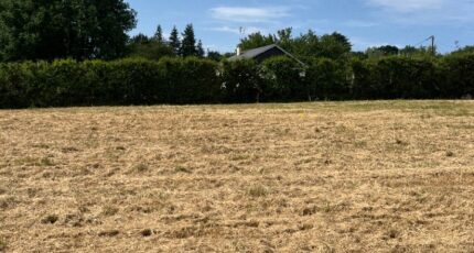 Ancinnes Terrain à bâtir - 2319624-3704annonce220251028Afycq.jpeg Maisons France Confort