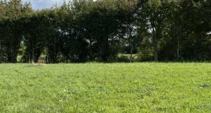 Arçonnay Maison neuve - 2309305-3704annonce120251017sgWLz.jpeg Maisons France Confort