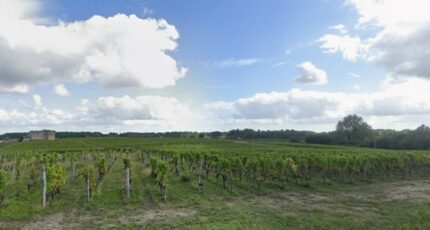 Fargues Terrain à bâtir - 2304993-11273annonce120251014ePNHr.jpeg Maisons France Confort