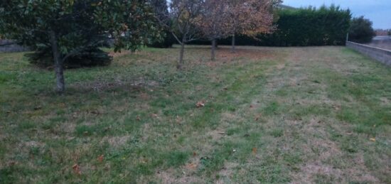 Terrain à bâtir à Angeac-Champagne, Nouvelle-Aquitaine