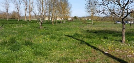 Terrain à bâtir à Houlette, Nouvelle-Aquitaine