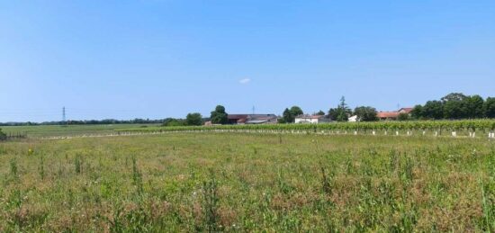Terrain à bâtir à Saint-Simon, Nouvelle-Aquitaine