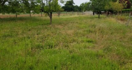 Juillac-le-Coq Terrain à bâtir - 2291486-11268annonce120250528FMiOi.jpeg Maisons France Confort