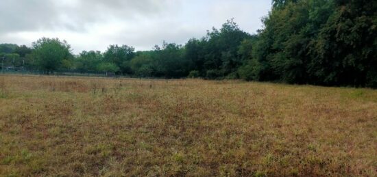 Terrain à bâtir à Saint-Sulpice-de-Cognac, Nouvelle-Aquitaine