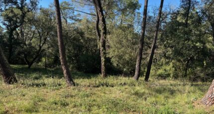 Suze-la-Rousse Maison neuve - 2289027-6150annonce320250524MK0sP.jpeg Maisons France Confort