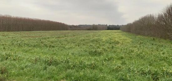 Terrain à bâtir à , Drôme