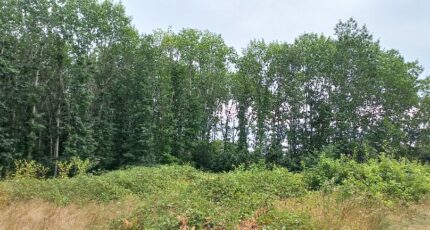 Ménesplet Terrain à bâtir - 2352634-5020annonce220251129nKtTT.jpeg Maisons France Confort