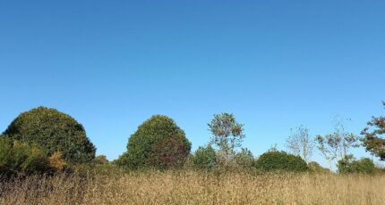 Saint-Martial-d'Artenset Terrain à bâtir - 2352639-5020annonce120251129XfCiv.jpeg Maisons France Confort