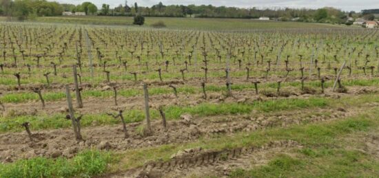 Terrain à bâtir à La Lande-de-Fronsac, Nouvelle-Aquitaine