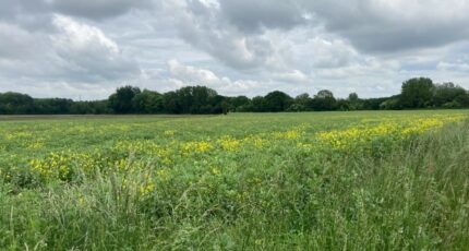 Carvin Maison neuve - 2257899-1807annonce120250902aJTpE.jpeg Maisons France Confort