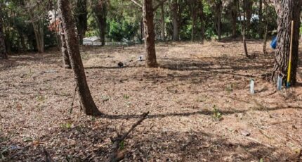 Ouveillan Terrain à bâtir - 2258676-10986annonce120250903VanBP.jpeg Maisons France Confort