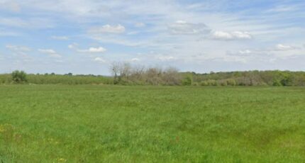 Saint-Selve Terrain à bâtir - 2258943-11306annonce1202510106FsEz.jpeg Maisons France Confort