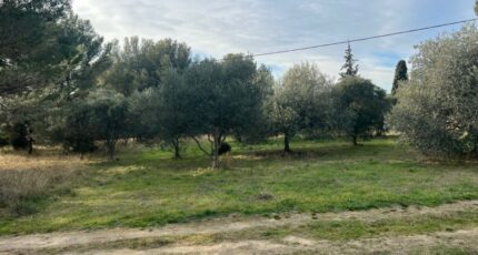 Saint-Chamas Terrain à bâtir - 2259762-11073annonce2202509046temd.jpeg Maisons France Confort