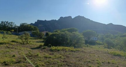 Roquebrune-sur-Argens Terrain à bâtir - 2260147-9911annonce2202509040Ac77.jpeg Maisons France Confort