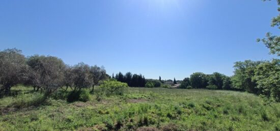 Terrain à bâtir à Puget-sur-Argens, Provence-Alpes-Côte d'Azur
