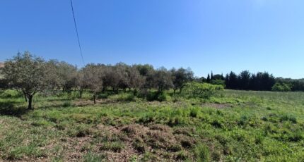 Puget-sur-Argens Terrain à bâtir - 2260165-9911annonce220250904Ca9o6.jpeg Maisons France Confort