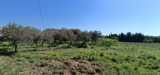 Terrain à bâtir à , Var