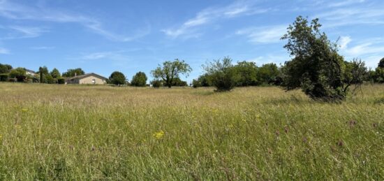 Terrain à bâtir à Montastruc-la-Conseillère, Occitanie