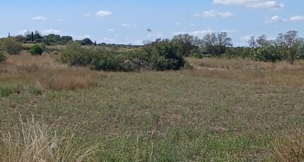 Marseillan Maison neuve - 2261945-11040annonce120250905N7See.jpeg Maisons France Confort