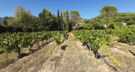 Draguignan Terrain à bâtir - 2263855-10295annonce220250908v4uOU.jpeg Maisons France Confort