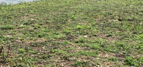 Terrain à bâtir à Mazeray, Nouvelle-Aquitaine