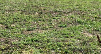 Saint-Jean-d'Angély Terrain à bâtir - 2264402-10974annonce22025090868ld2.jpeg Maisons France Confort