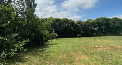 Baziège Terrain à bâtir - 2264001-11450annonce1202509082yCRS.jpeg Maisons France Confort