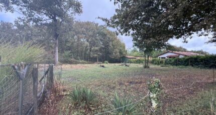 Roaillan Terrain à bâtir - 2265414-11251annonce120250909Ck4Rb.jpeg Maisons France Confort