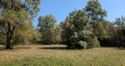 Châteauneuf-Grasse Terrain à bâtir - 2266887-9270annonce320250113yyi2l.jpeg Maisons France Confort