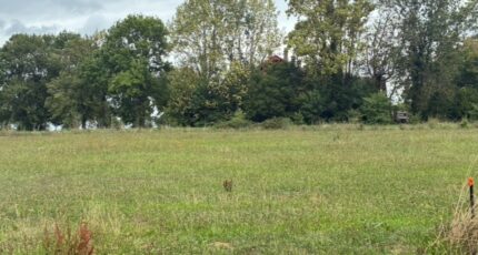 Cocumont Terrain à bâtir - 2267108-11292annonce120250910QC7g9.jpeg Maisons France Confort