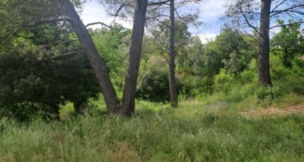 Plan-d'Aups-Sainte-Baume Terrain à bâtir - 2268880-11238annonce1202509129kDc3.jpeg Maisons France Confort