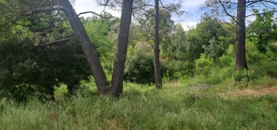 Terrain à bâtir à Plan-d'Aups-Sainte-Baume, Provence-Alpes-Côte d'Azur