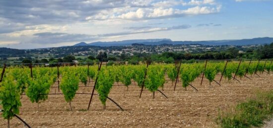 Terrain à bâtir à , Vaucluse