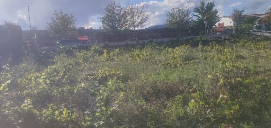 Terrain à bâtir à Bennwihr, Grand Est