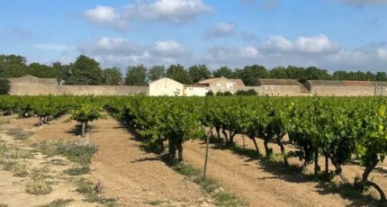 Canet Maison neuve - 2271164-10986annonce120250915fEPt5.jpeg Maisons France Confort