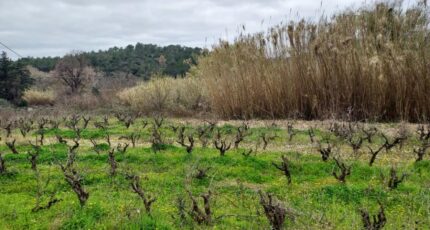 Pierrefeu-du-Var Terrain à bâtir - 2271768-11137annonce120250109mBf3e.jpeg Maisons France Confort