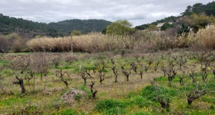 Pierrefeu-du-Var Terrain à bâtir - 2271768-11137annonce320250109g2xMr.jpeg Maisons France Confort